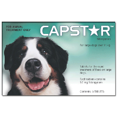 诺谱星口服体外驱虫药 犬猫用 体重11.1公斤以上 Capstar Tablets for Large Dogs 11.1kg (25lbs)