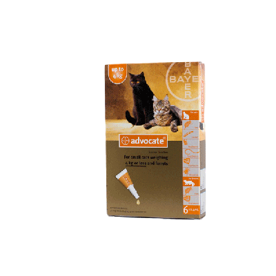 Advocate Cat Small Under 4Kg 6 Pack
