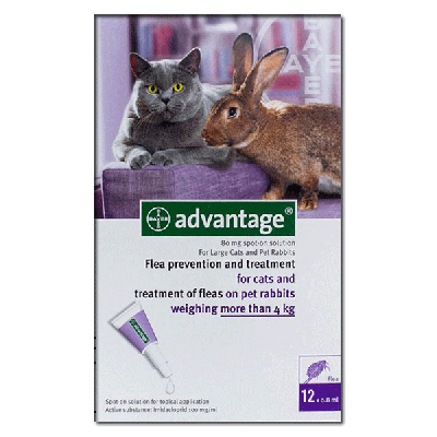 Advantage Purple Large Cat 12 Doses