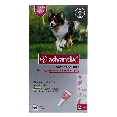 Advantix Large Dogs 10-25Kg 12 Pack 