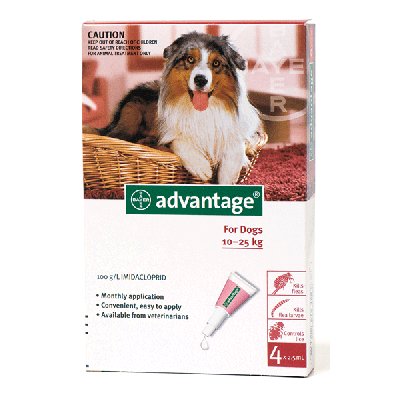 拜耳 蚤安大型犬用体外驱虫滴剂适用体重10-25公斤 4支装 Advantage 250 (Red) Spot on For Large Dogs 10-25kg (22-55lbs), 4 Pack