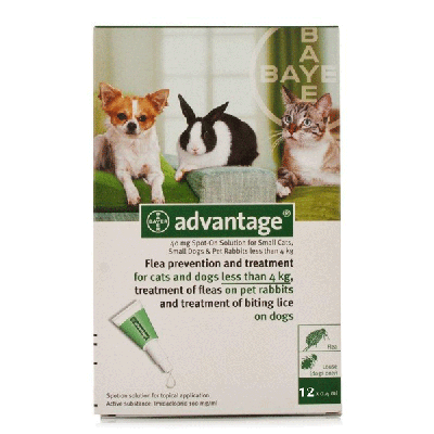 Advantage Green Small Dogs, Cats 12 Pack