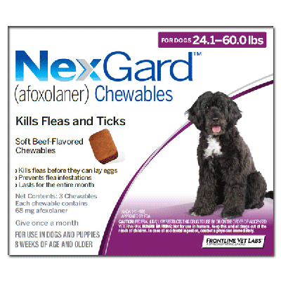 Nexgard Chews 4-10Kg 12 Pack 