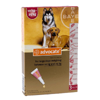 Advocate Large Dogs 22-55lbs 6 Pack