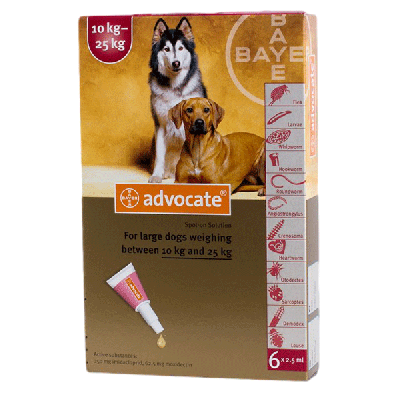 爱沃克犬用体外驱虫滴剂 适用体重10-25公斤犬用 6支装 Advocate for Large Dogs 10-25kg (22-55lbs), 6 Pack