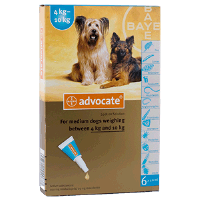 Advocate Medium Dogs  4-10Kg 6 Pack