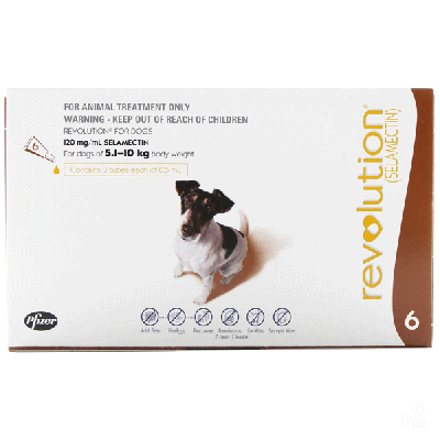 Revolution Brown for dogs 5.1-10kg (11-22lbs), 6 Pack