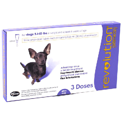 辉瑞大宠爱 适用体重2.6-5kg公斤犬用 3支装  Revolution (Purple) for Extra Small Dogs weighing 2.5-5kg (5.5-11lbs), 3 Pack