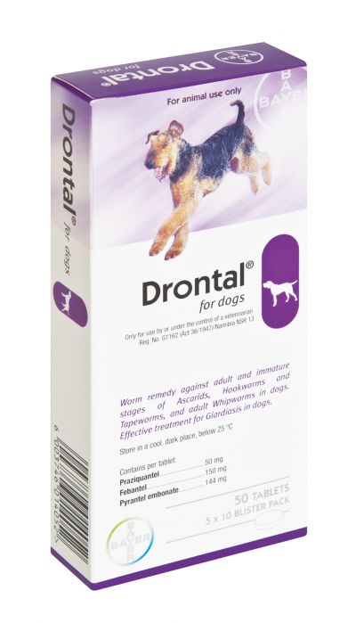 拜宠清驱虫药 10kg/粒 20粒  Drontal Chewable 10kg 20pack