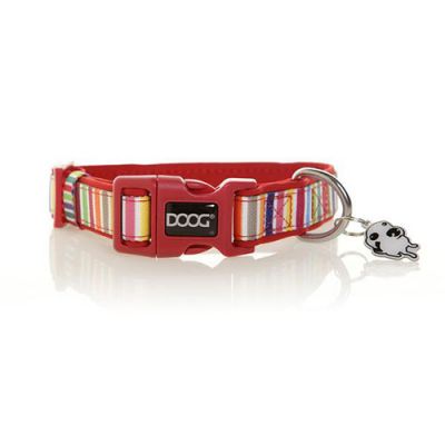 Doog Neoprene Dog Collar, Small (Scooby - Multi Colour Stripped)