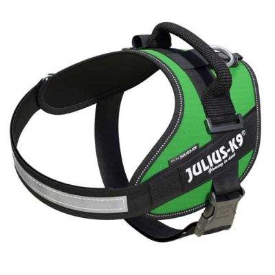 Julius-K9 IDC-Powerharness For Dogs Size: 0, Green