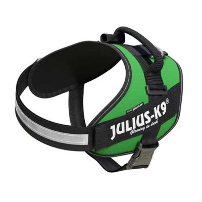 Julius-K9 IDC-Powerharness For Dogs Size: 2, Green