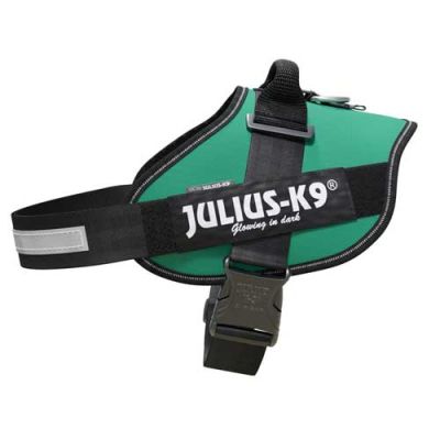 Julius-K9 IDC-Powerharness For Dogs Size: 3, Green