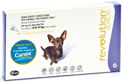 辉瑞大宠爱 适用体重2.6-5kg公斤犬用 6支装  Revolution (Purple) for Extra Small Dogs weighing 2.6-5kg (5.5-11lbs), 6 Pack