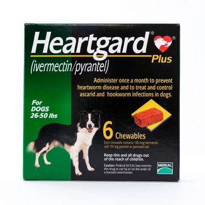 犬心保  Heartgard Plus (Green) Chewables for Dogs 26-50lbs(12-22kg), 6 Pack 